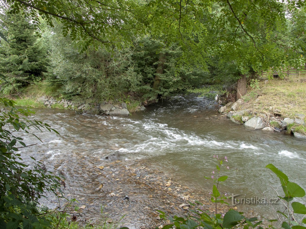 Merta opens at the 17th km of Desné on the left