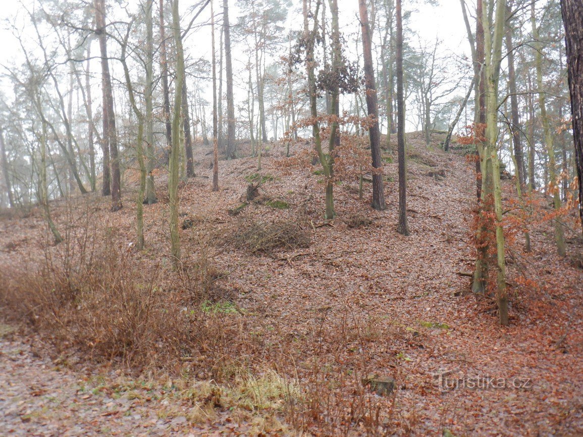 Byen Doksy – Birch avenue of suks og Šibeniční vrch