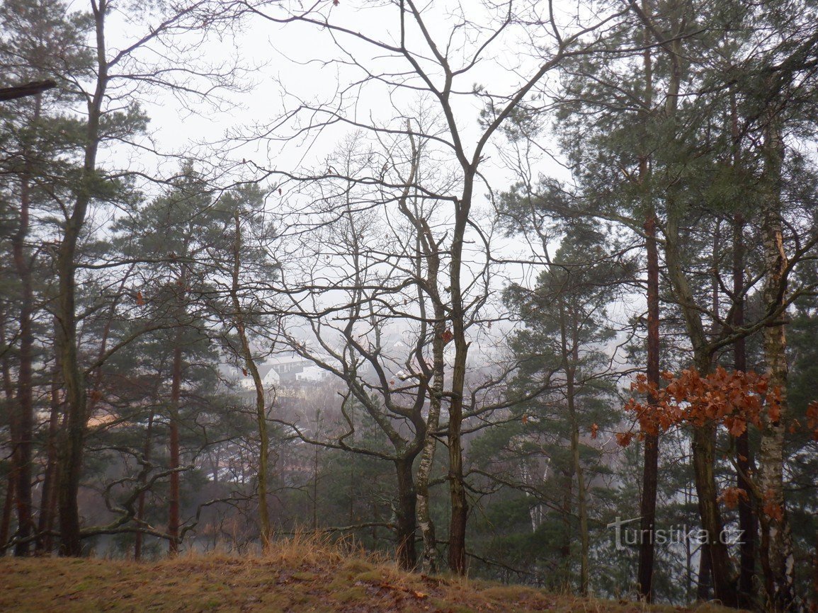 Byen Doksy – Birch avenue of suks og Šibeniční vrch