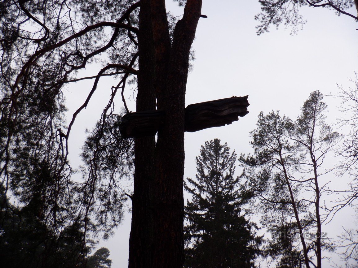 Doksyn pikkukaupunki lähellä Masaryk Parkia