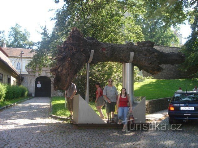 la città di Litomyšl