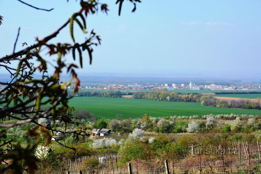 Ville de Strážnice