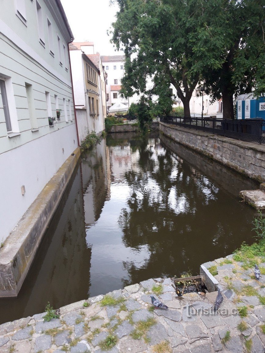 Міська решітка на набережній Вернера