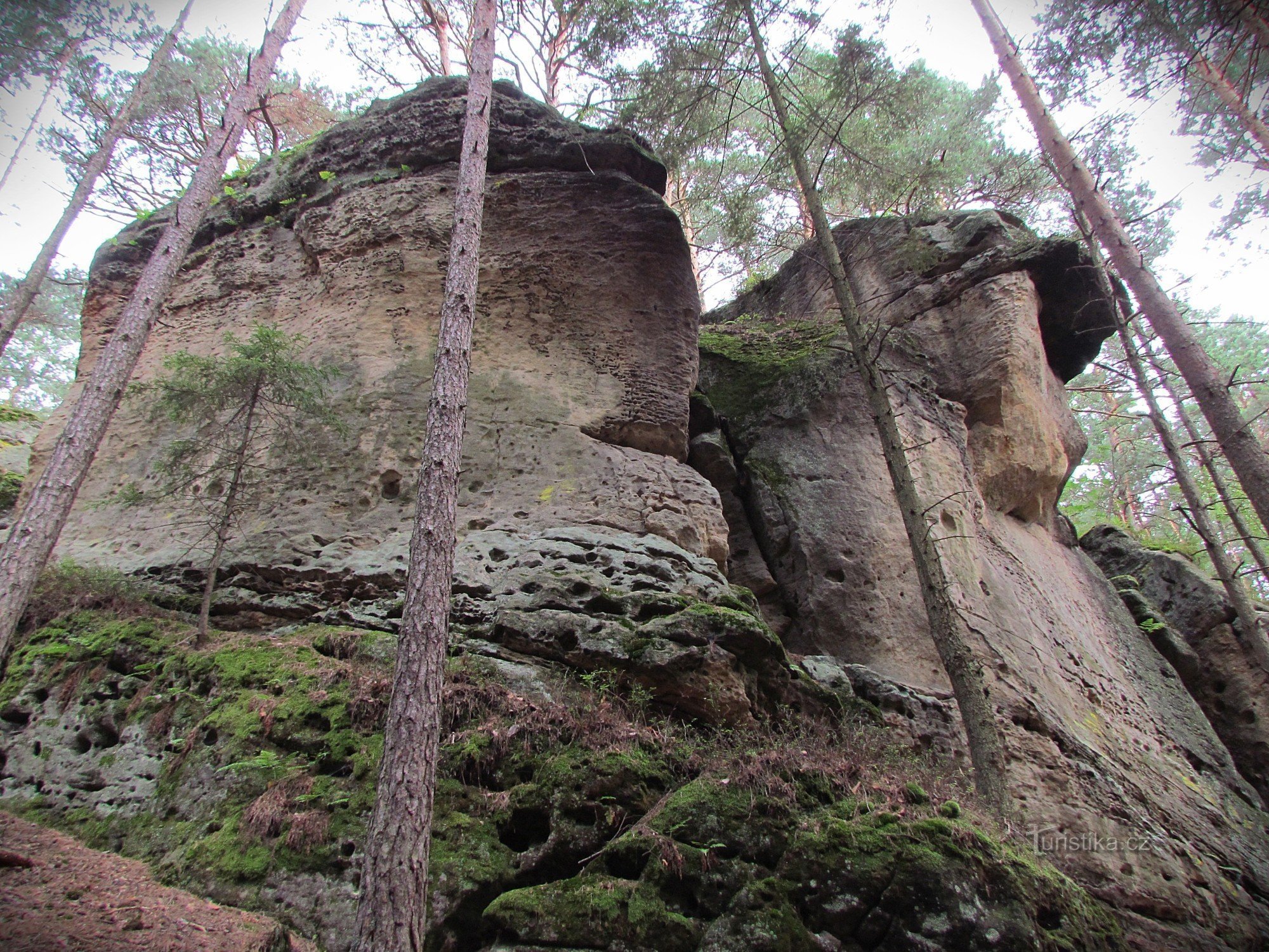 Mestna in Toulovska konjušnica