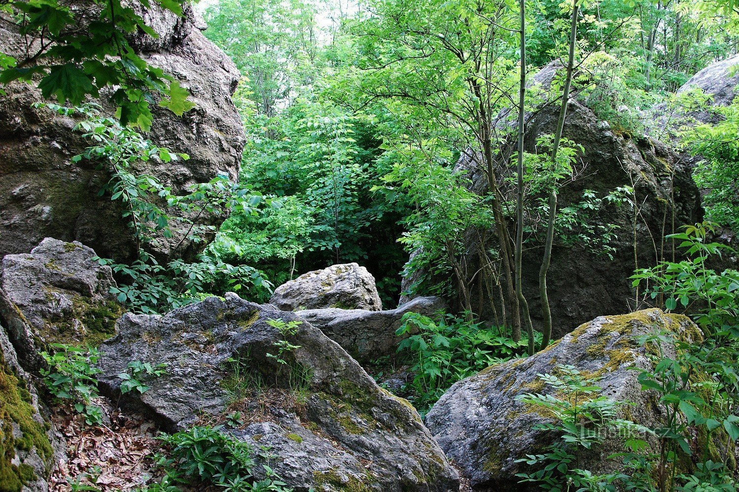 rocas de la ciudad