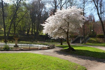 Městský park