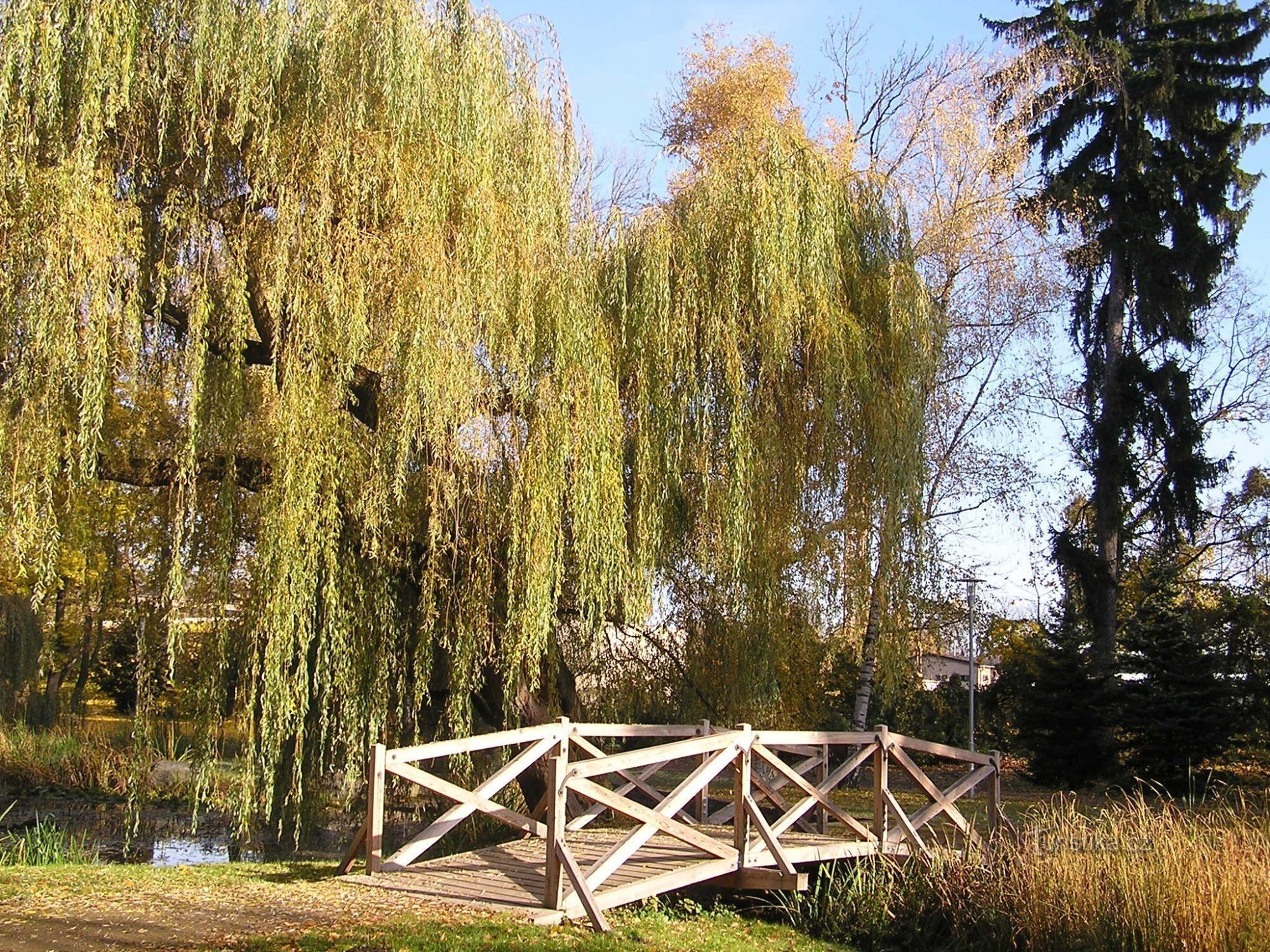 Parcul orașului