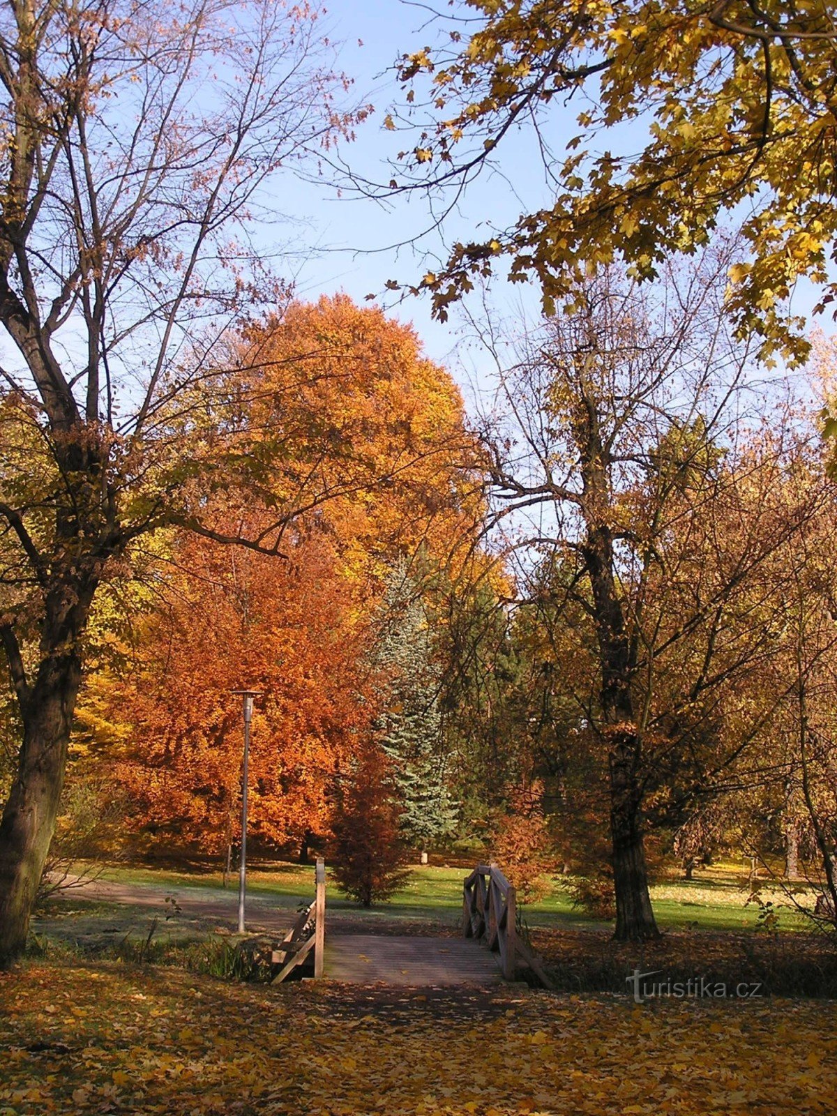 Parc de ville