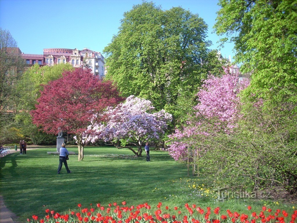 městský park