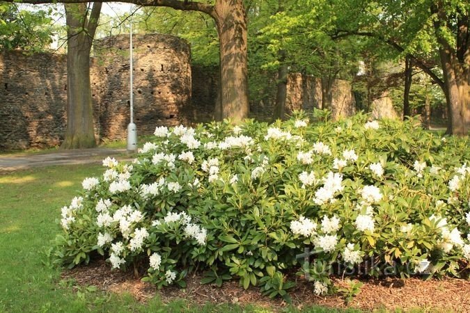 Budući gradski park