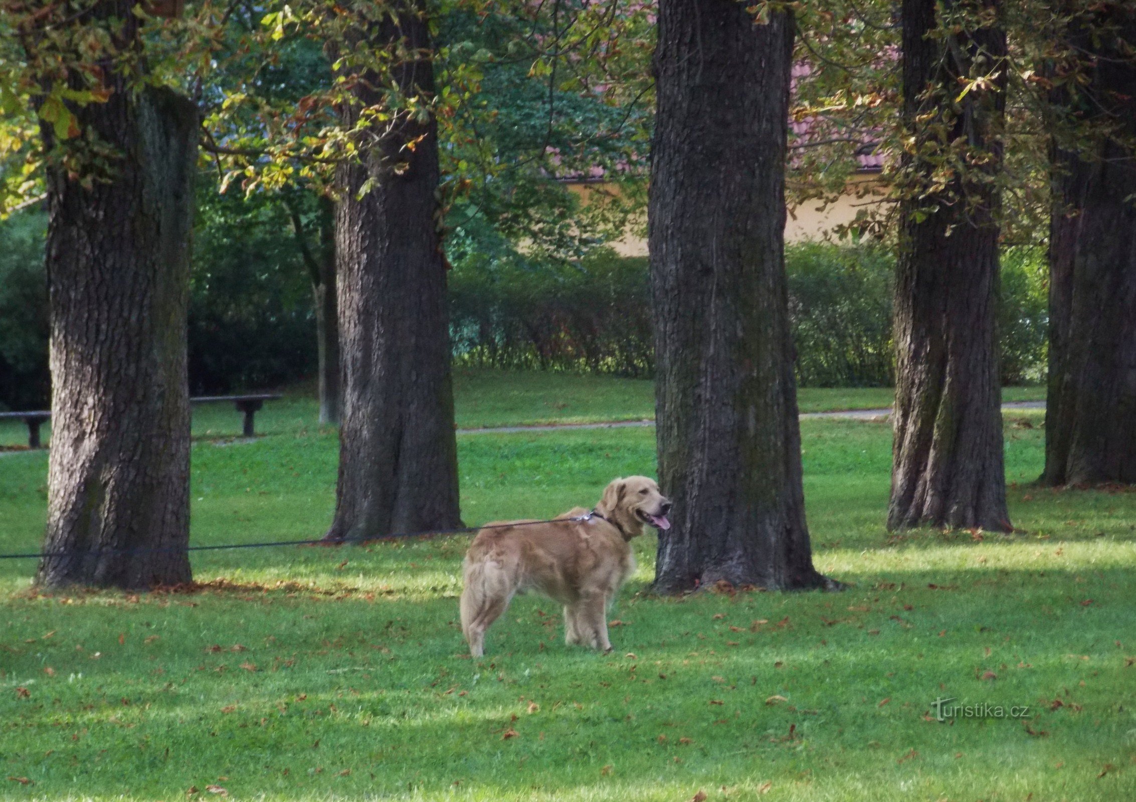 Városi park Nové Jičínben - Smetanovy sady