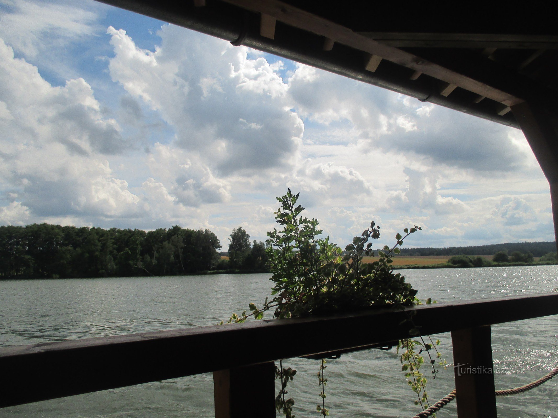 Municipal pond near Františkové Lázně