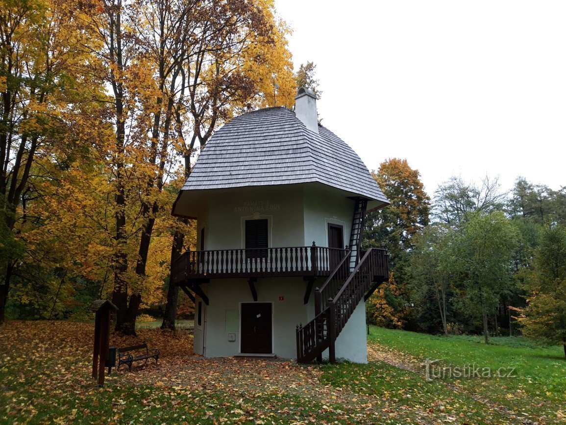 Mesto Lukavec in goba, ki je v parku vse leto