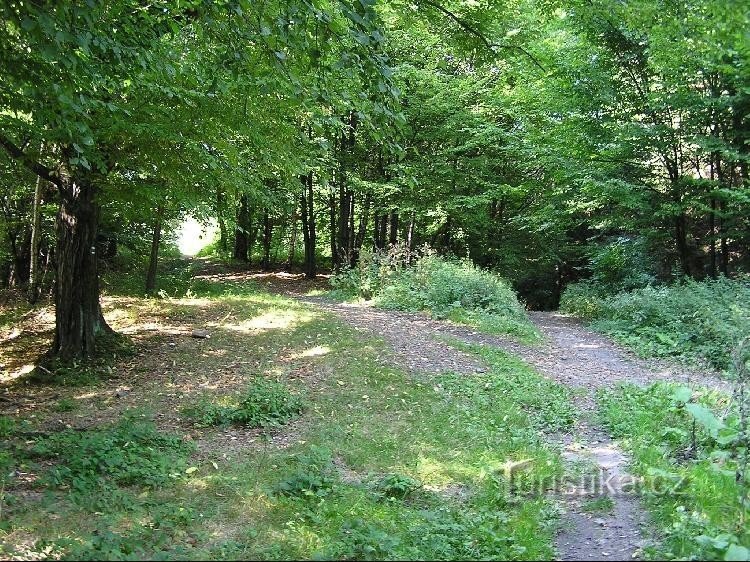 Metylovická hůrka: Metylovická hůrka - kierunek Hodoňovice