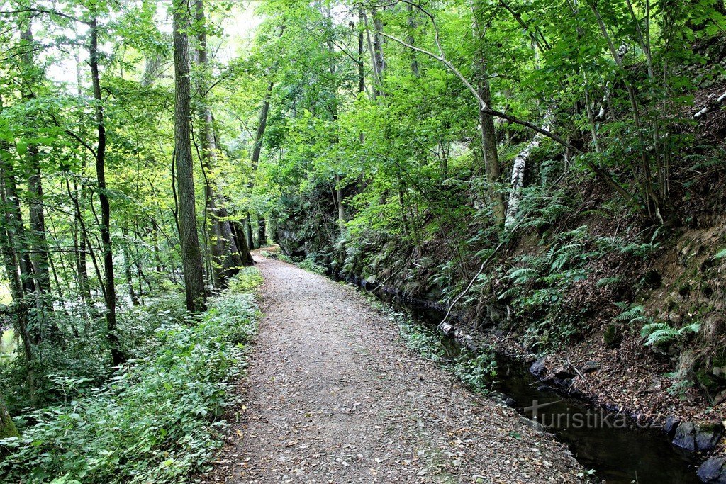 Between the stream and the drive