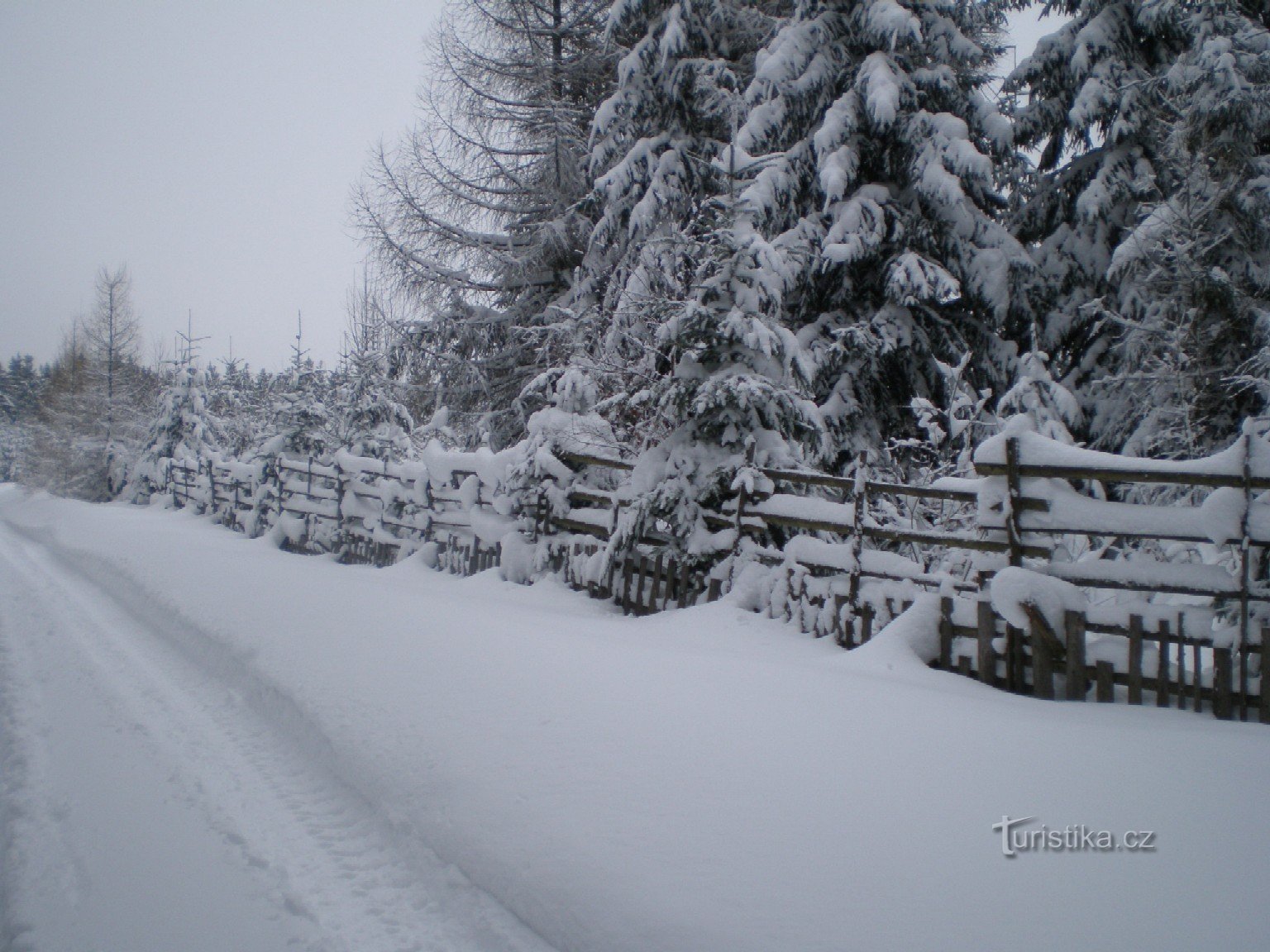 Between Třemošná and Tok