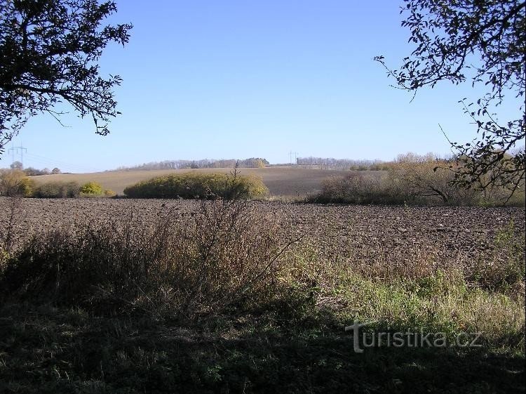 À mi-chemin : Colline