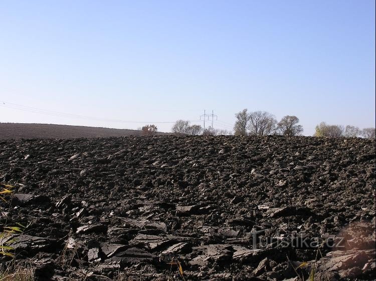 A metà strada: collina