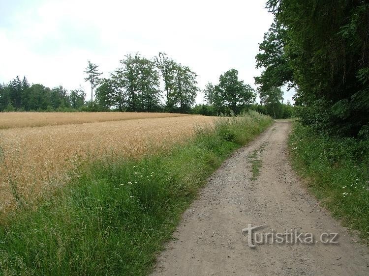 Mezihoří - crossroads