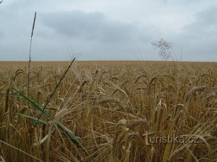 Mezihoří - crossroads