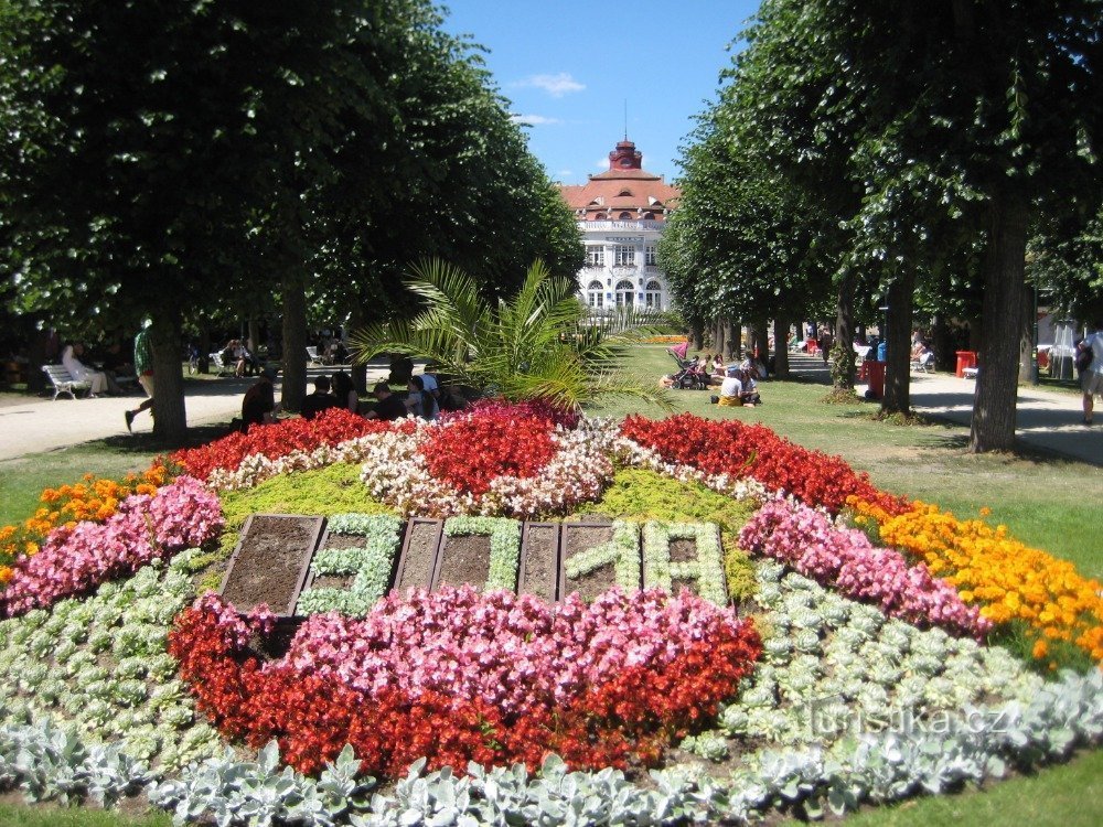 Festival Internacional de Cinema de Karlovy Vary 2018 (1)