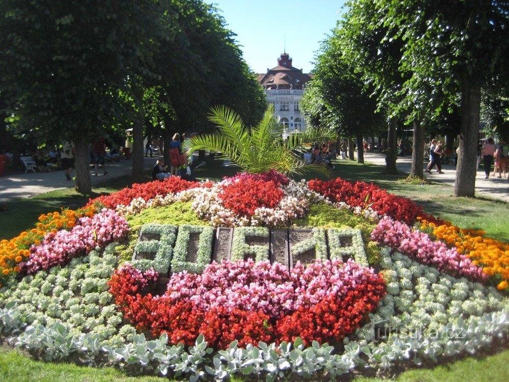 Mezinárodní filmový festival Karlovy Vary 2018 (3)