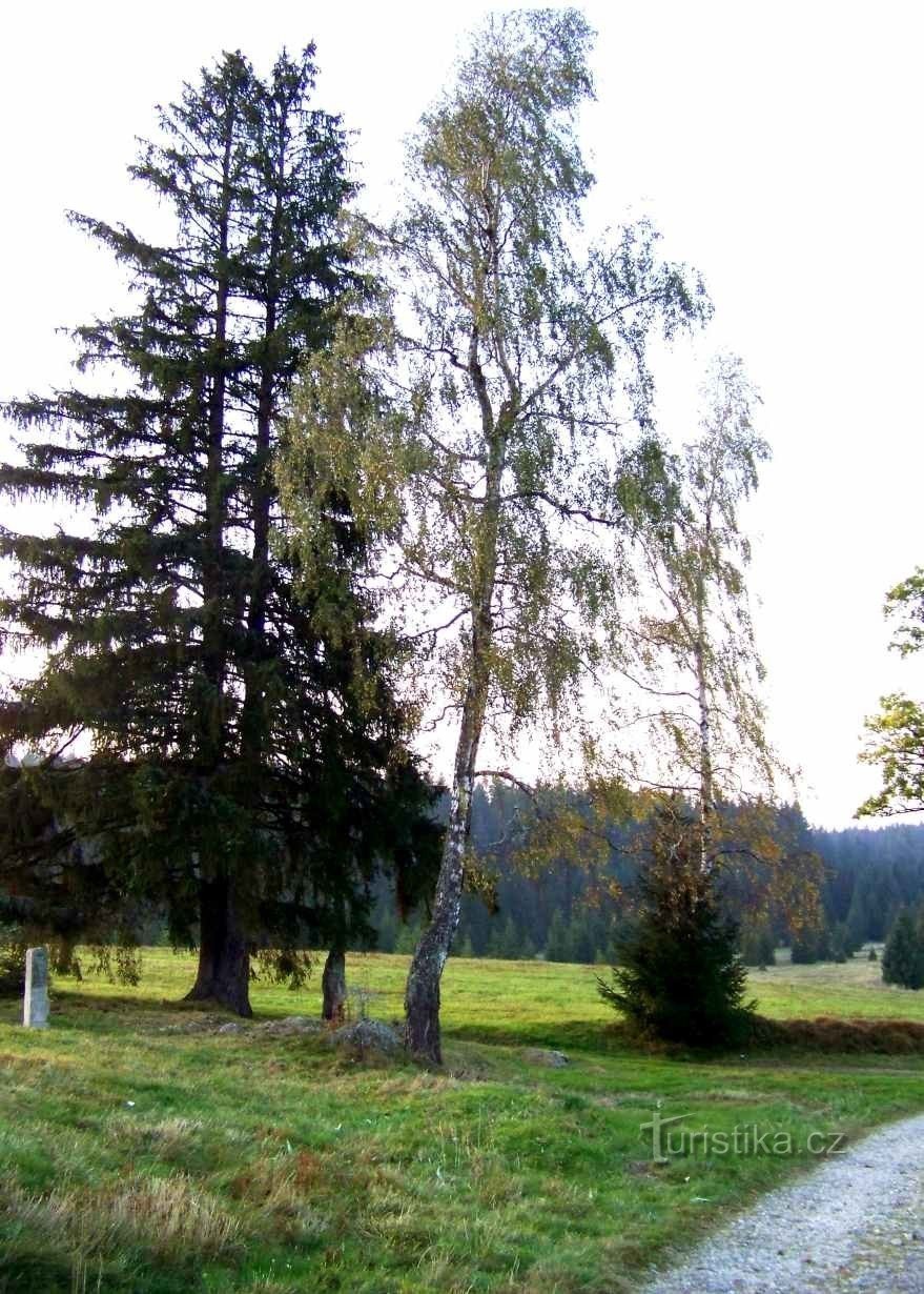 De grensovergang, van waaruit we naar Kamenec kunnen gaan, of naar de staatsgrens