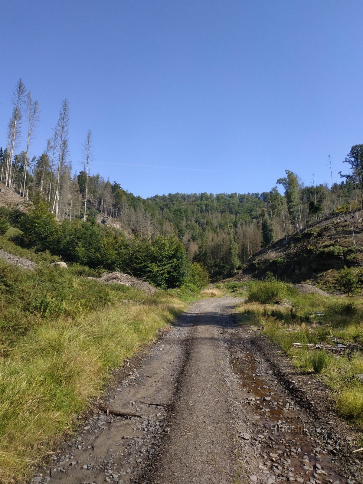 Mezní Louka – Šaunštejn – Česká Silnice – Jetřichovice