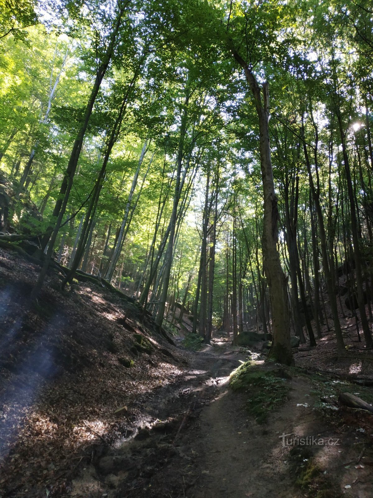 Mezní Louka - Šaunštejn - Česká Silnice - Jetřichovice