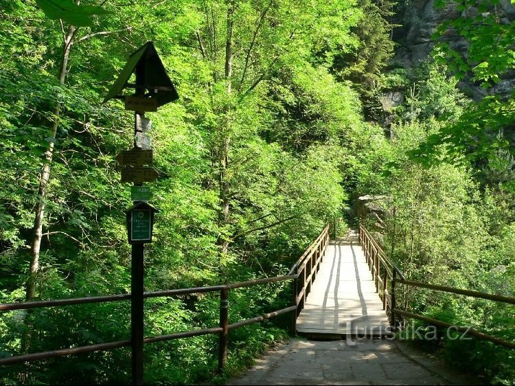 Border bridge