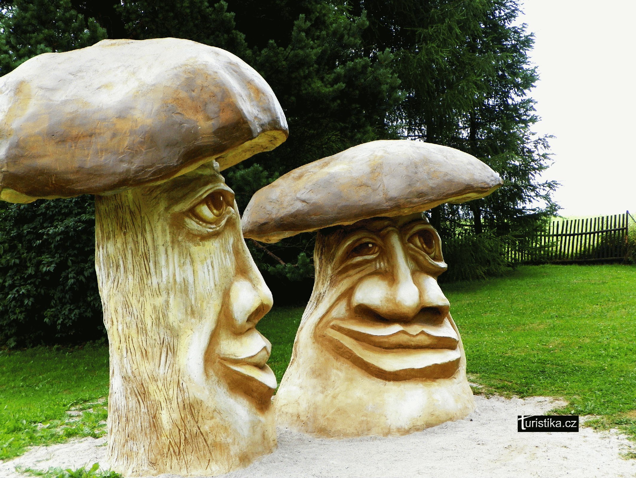 Michal Olšiak – Mushrooms