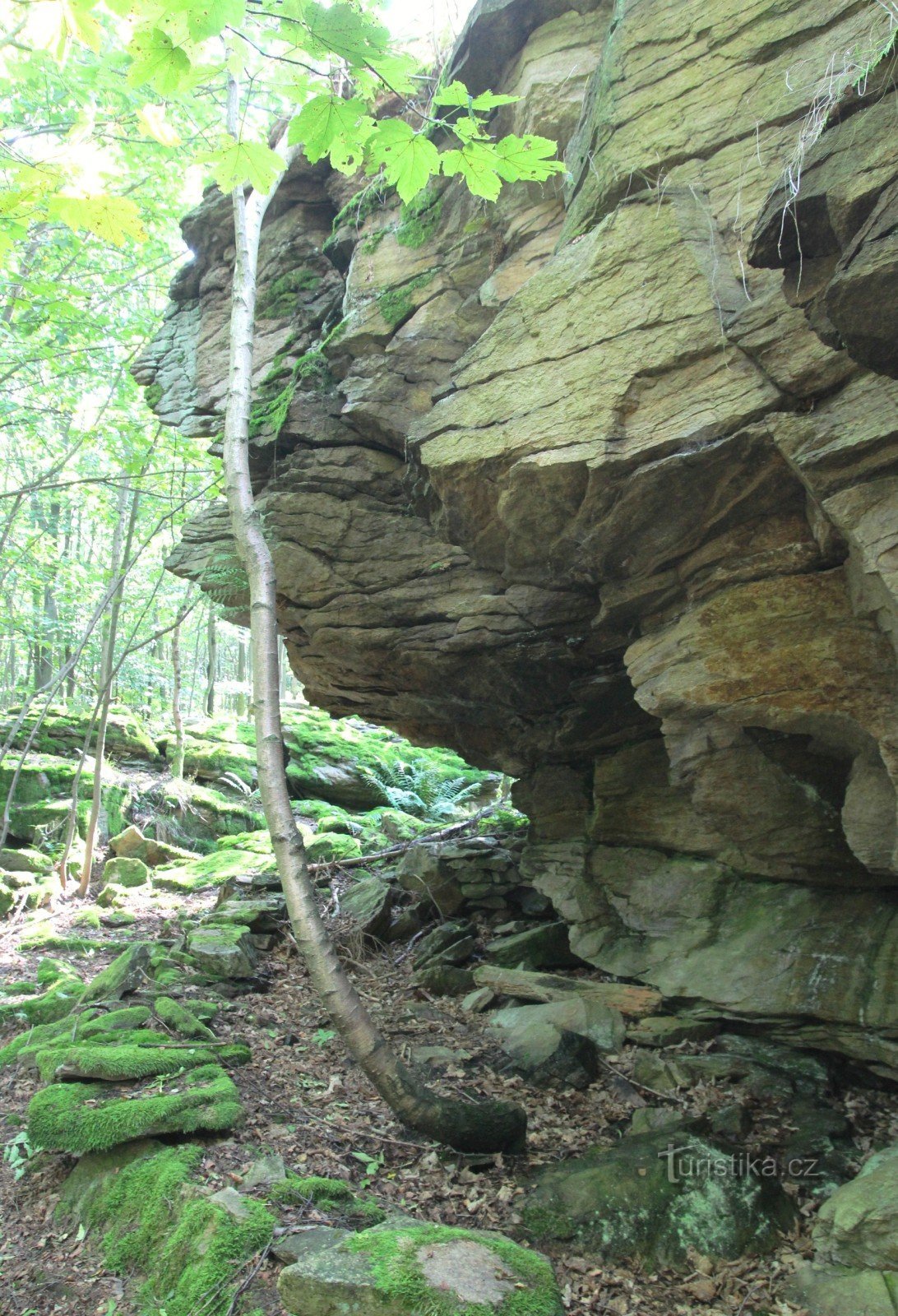 Míhovec - a natural monument