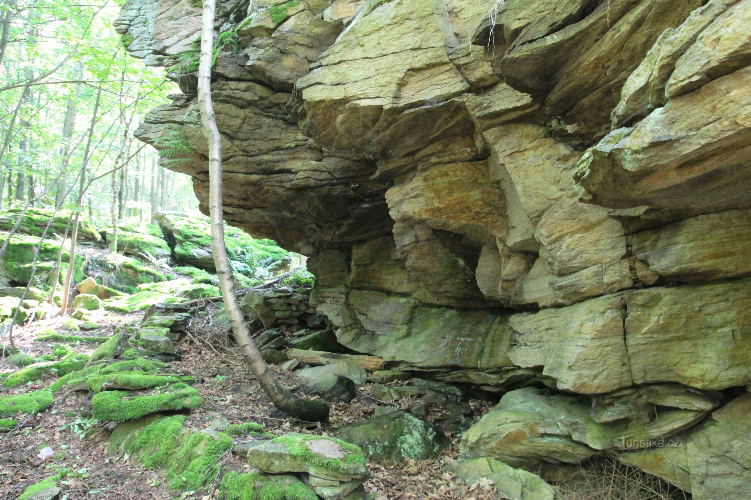 Míhovec - ett naturmonument