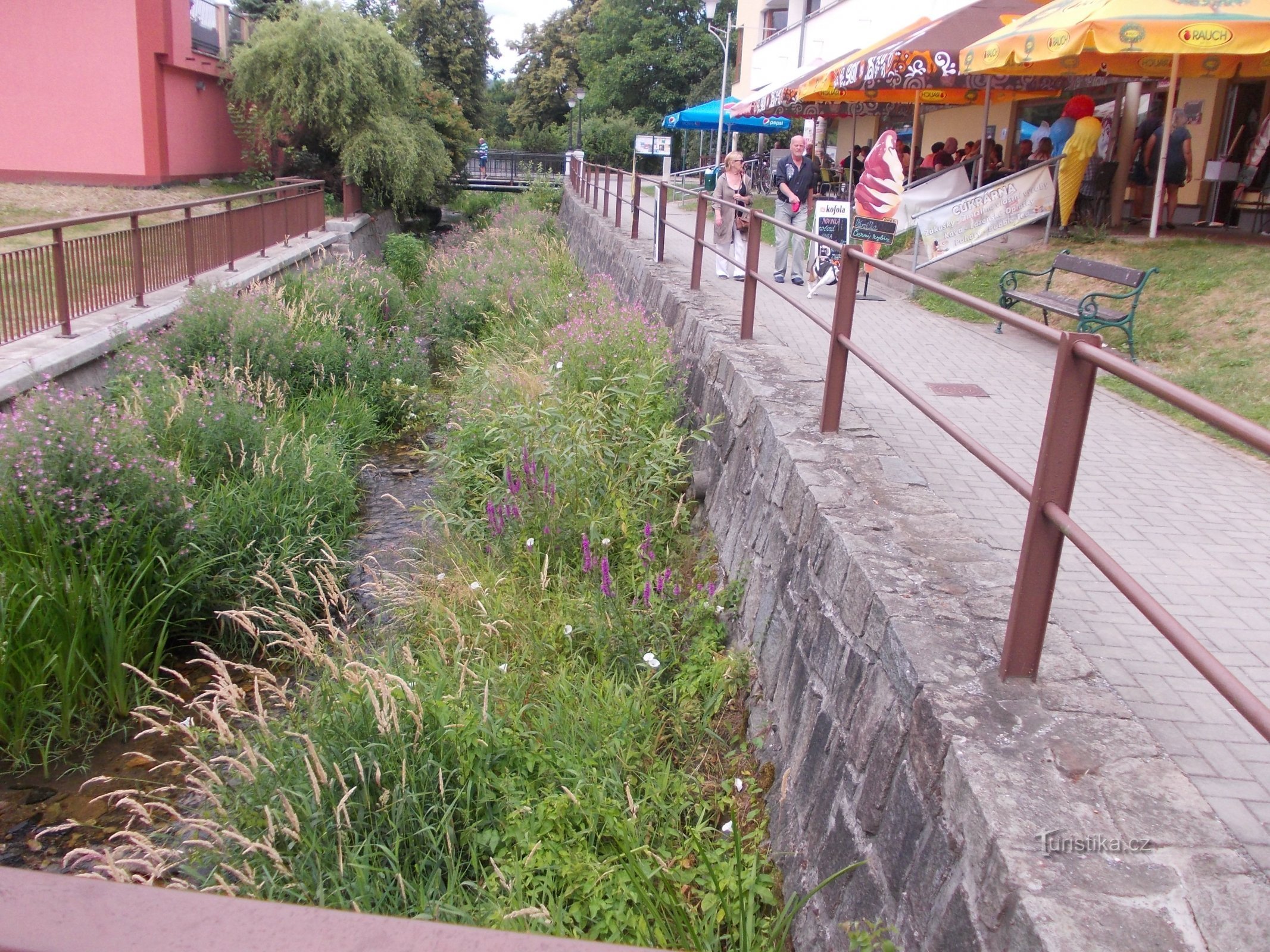 el arroyo local Losinka se volvió verde