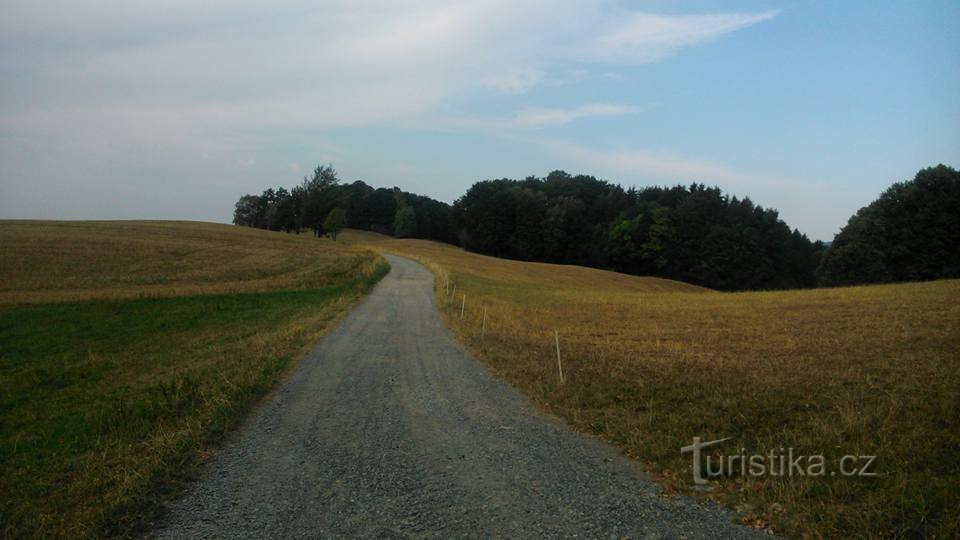 Mikulášovice - Groß Stein