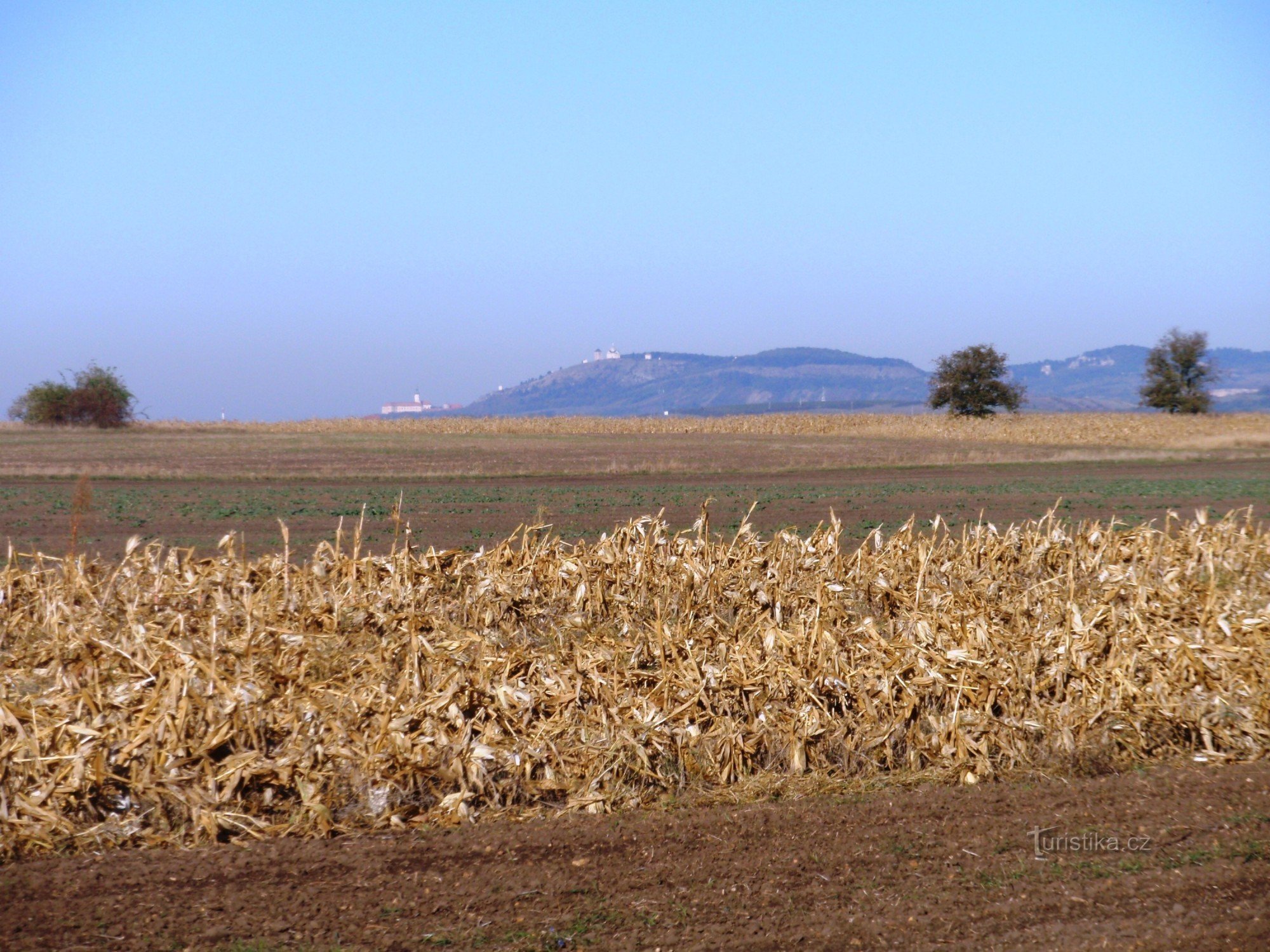 mikulov from waltice