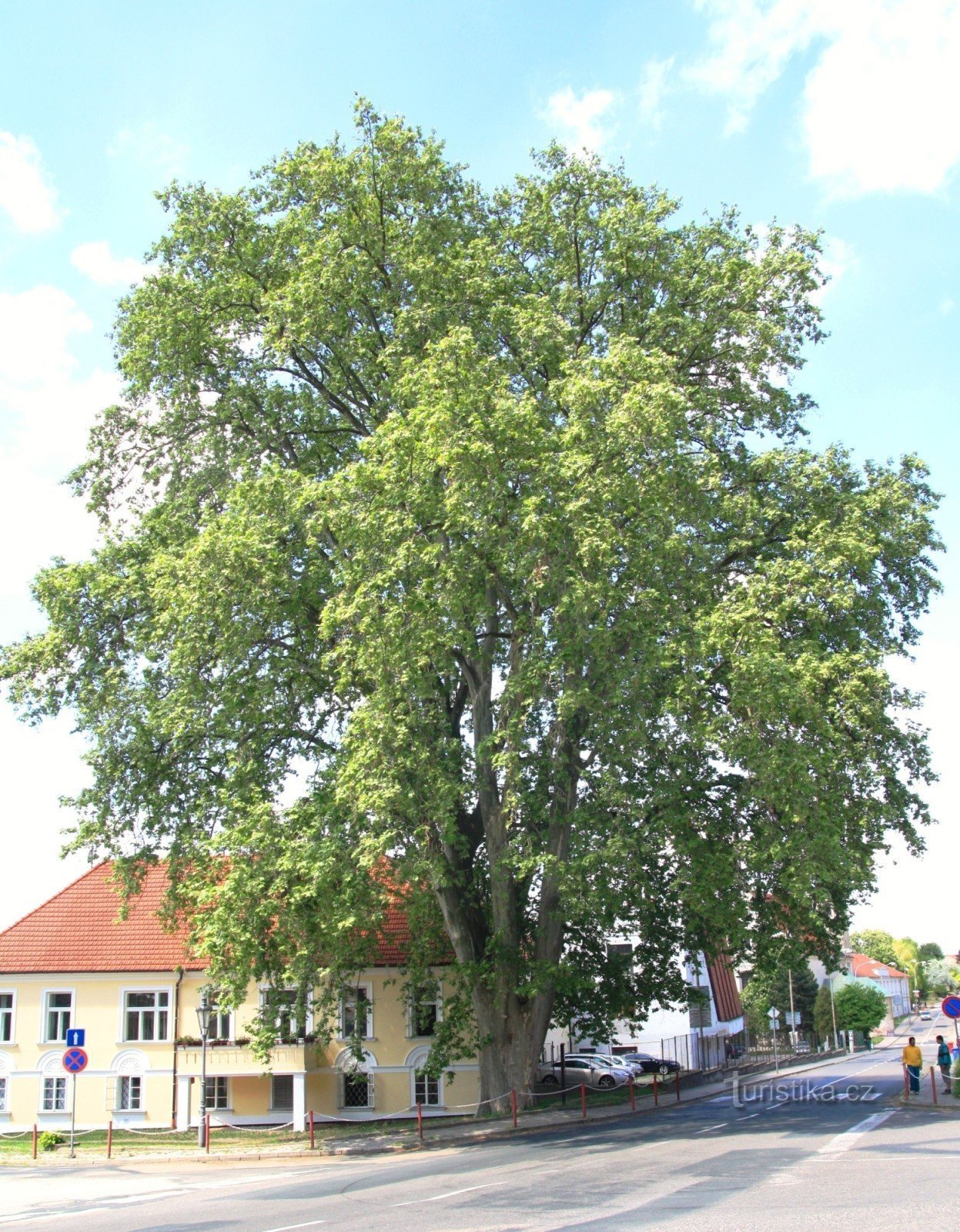 Mikulov - gedenkteken plataan