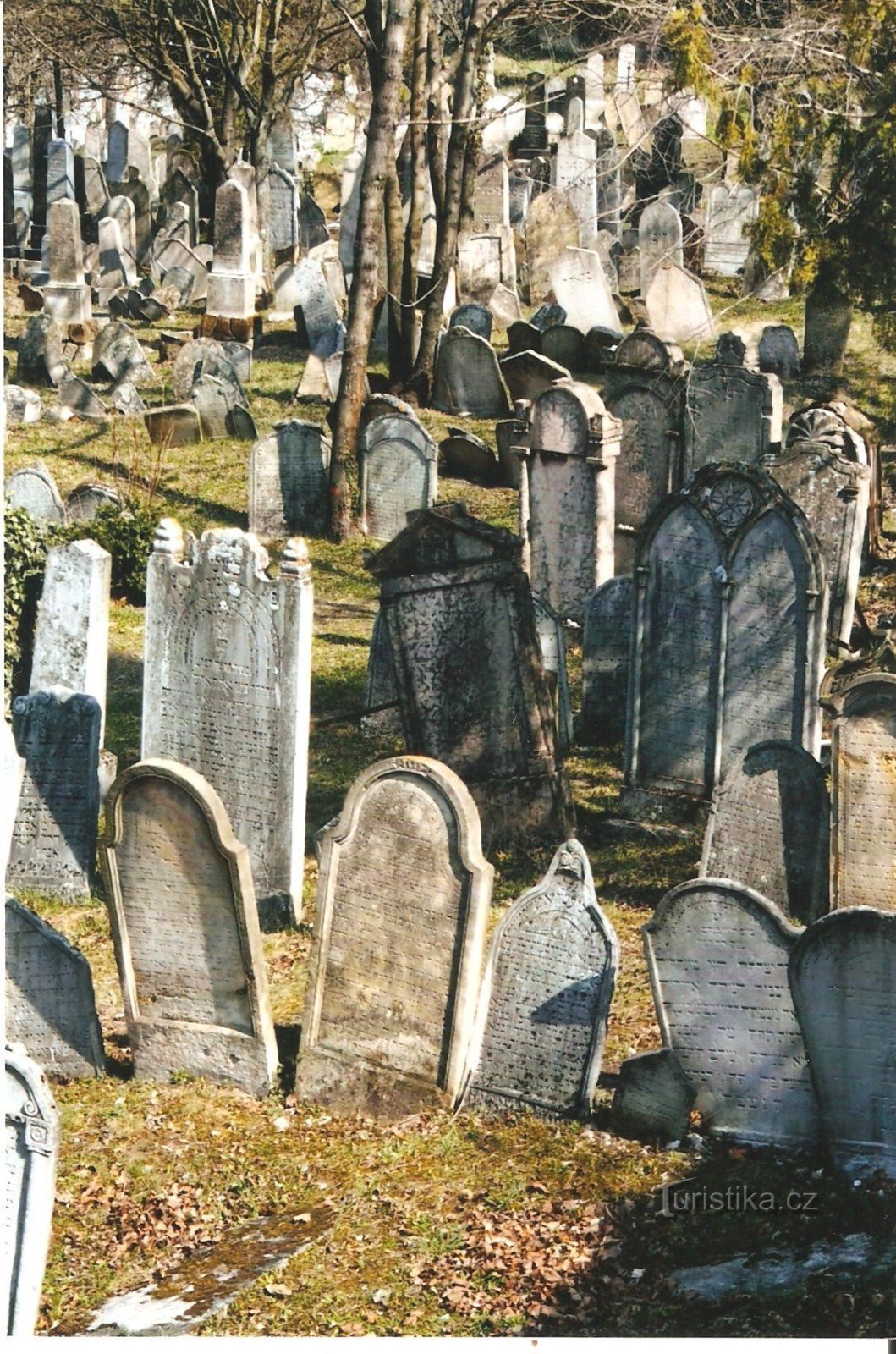 Mikulov - Joodse begraafplaats