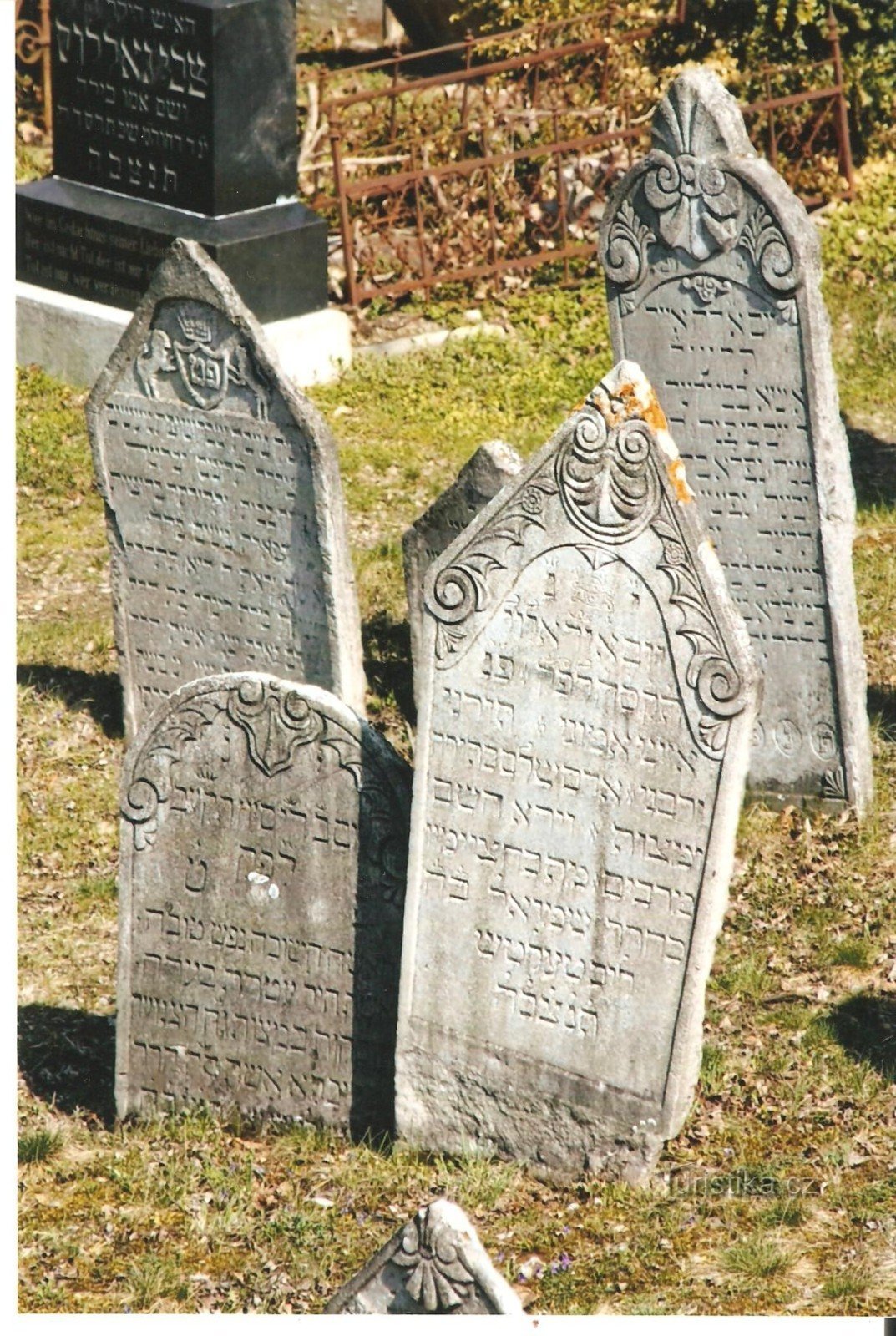 Mikulov - cimetière juif