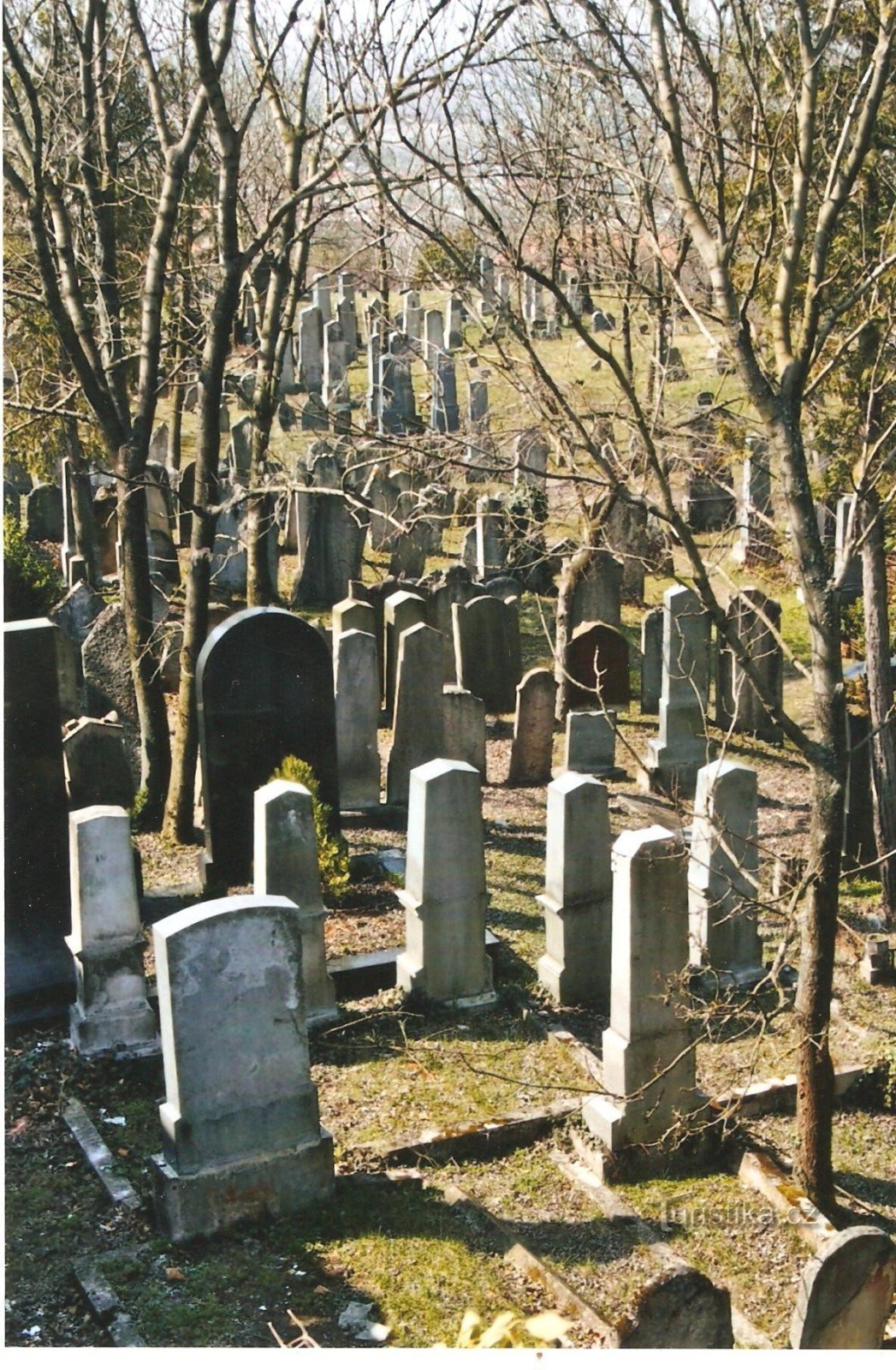 Mikulov - cimetière juif