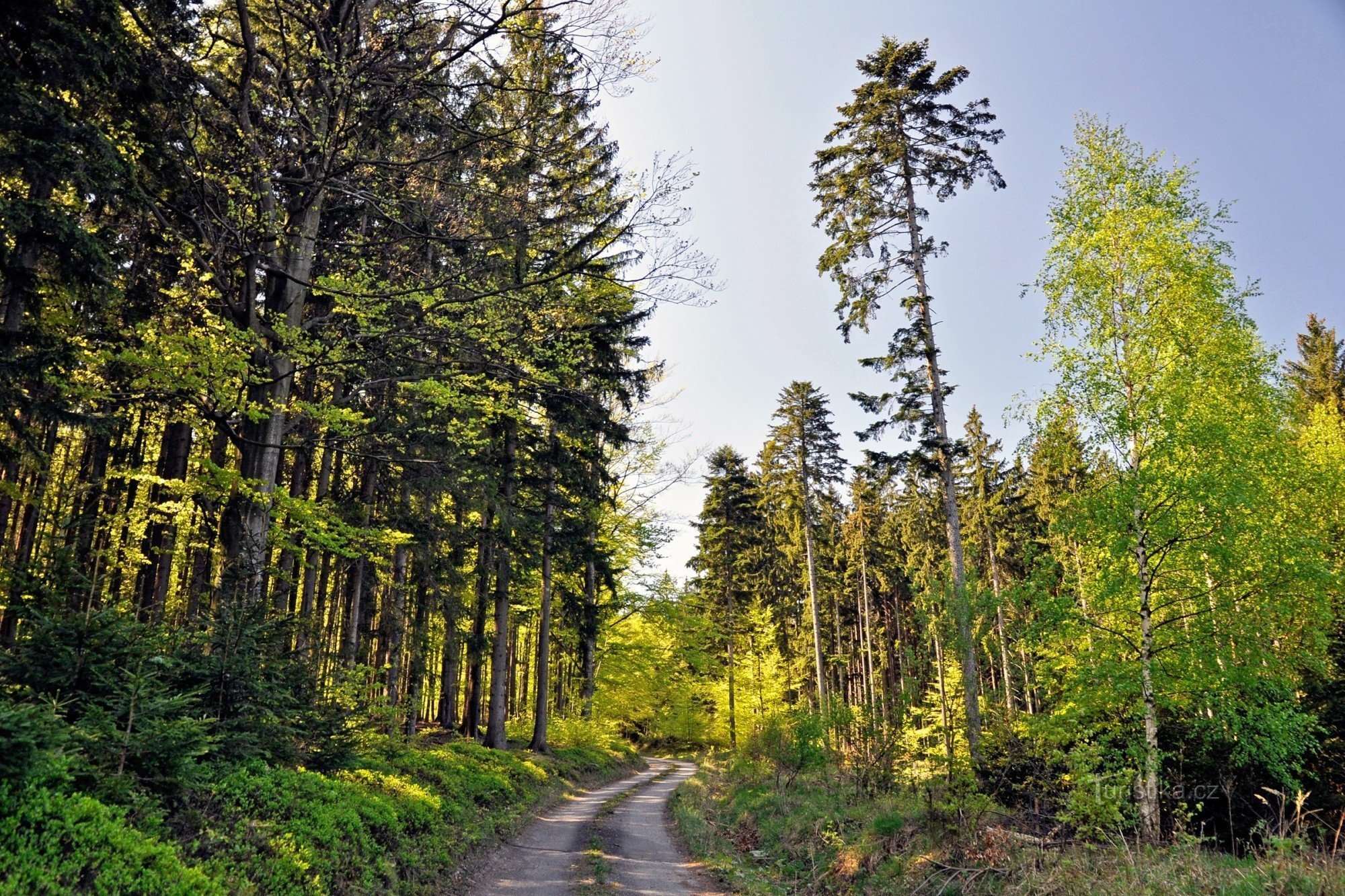 Mikulovice - Ondřejovice az Údolím Javorná tanösvény mentén