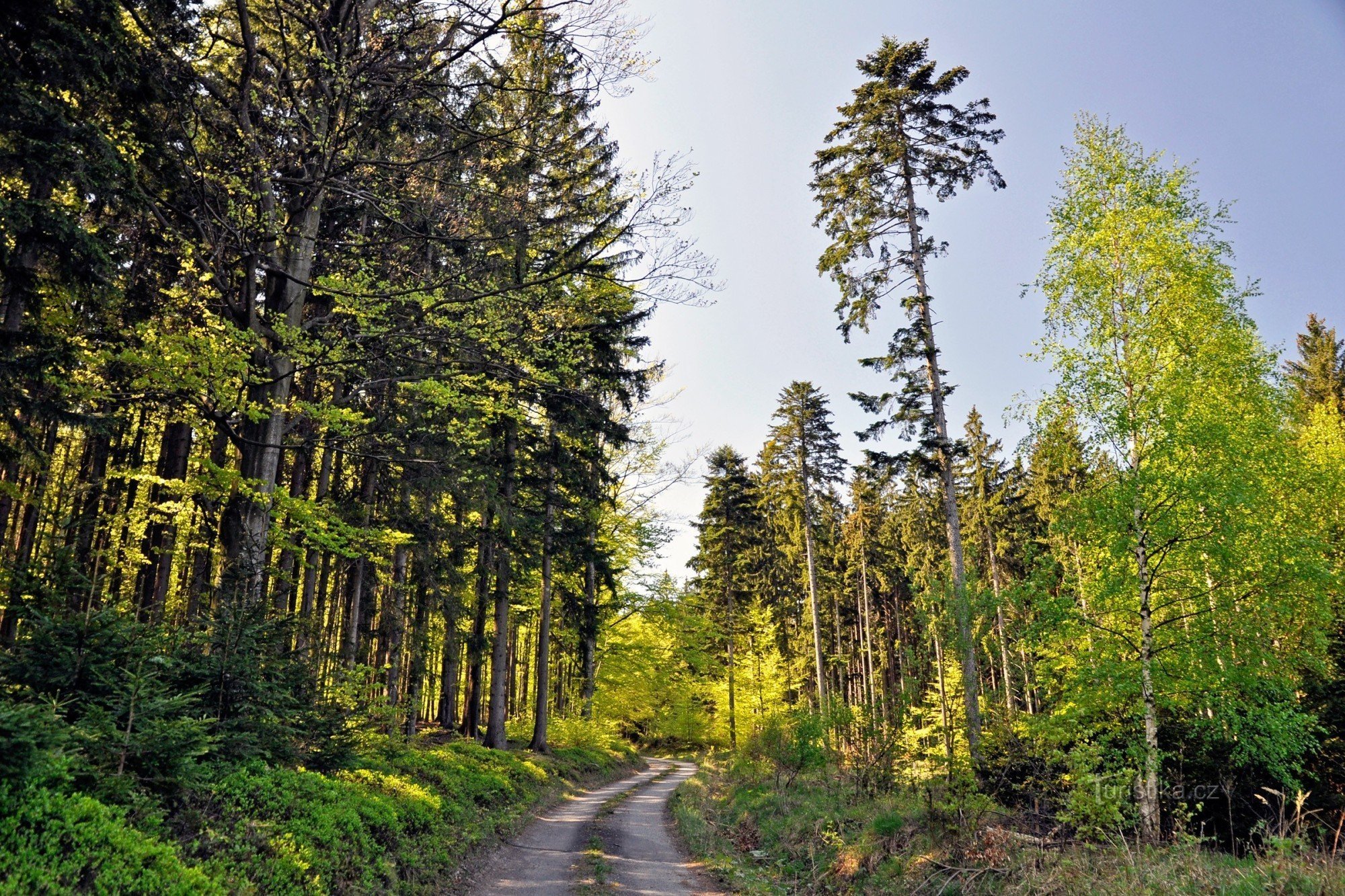 Mikulovice - Ondřejovice längs utbildningsleden Údolím Javorná