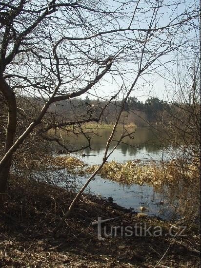 Milíčovské ponds