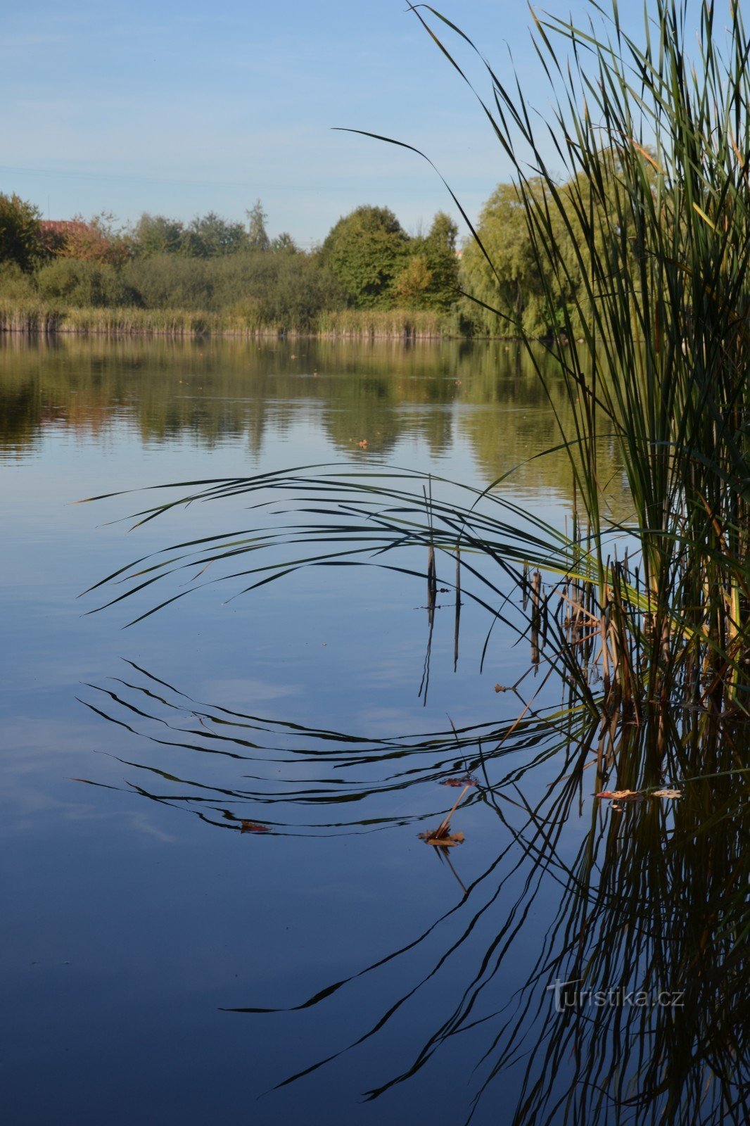 Milíčovský dam