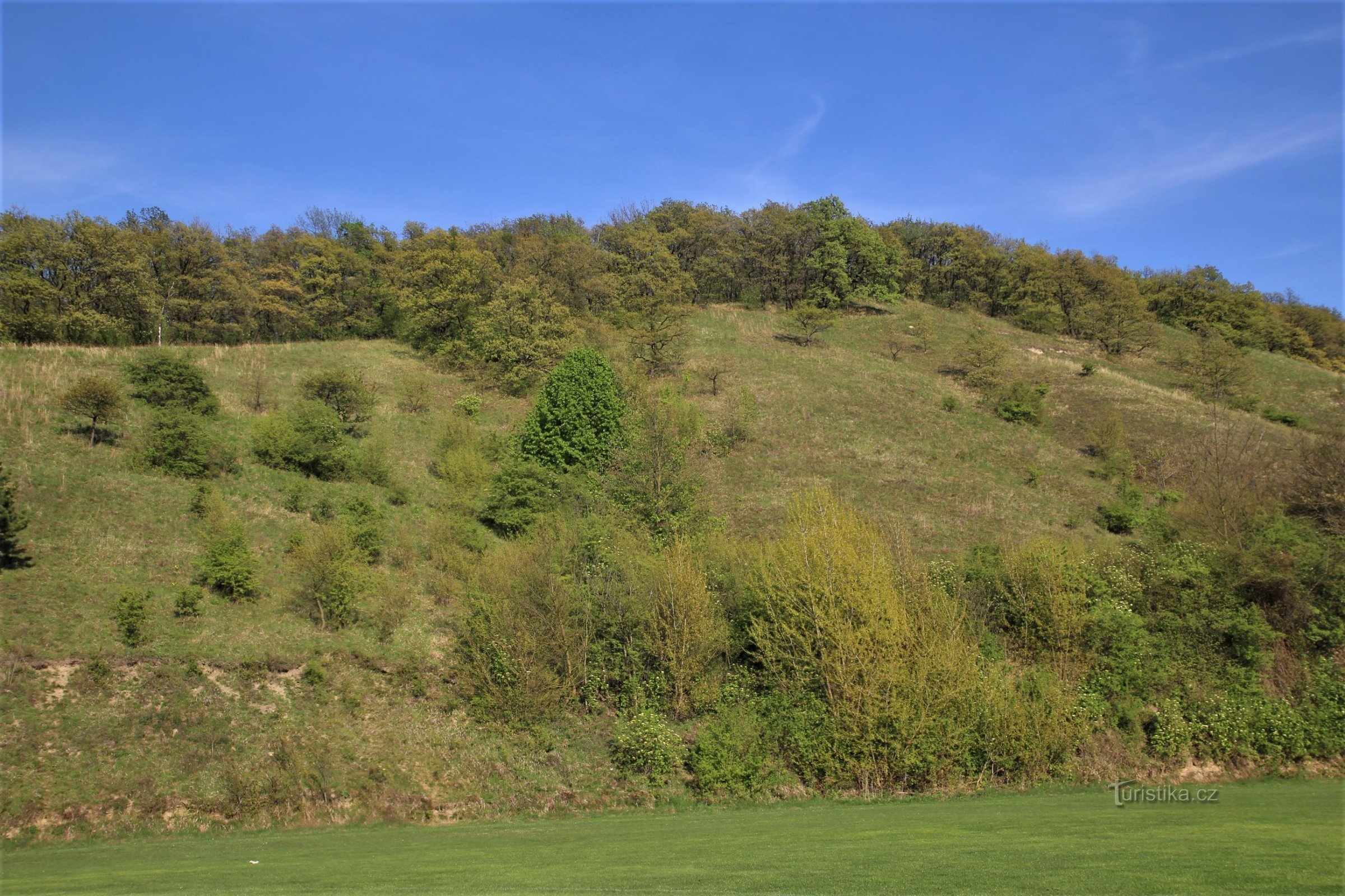 Milovická straň - naturreservat