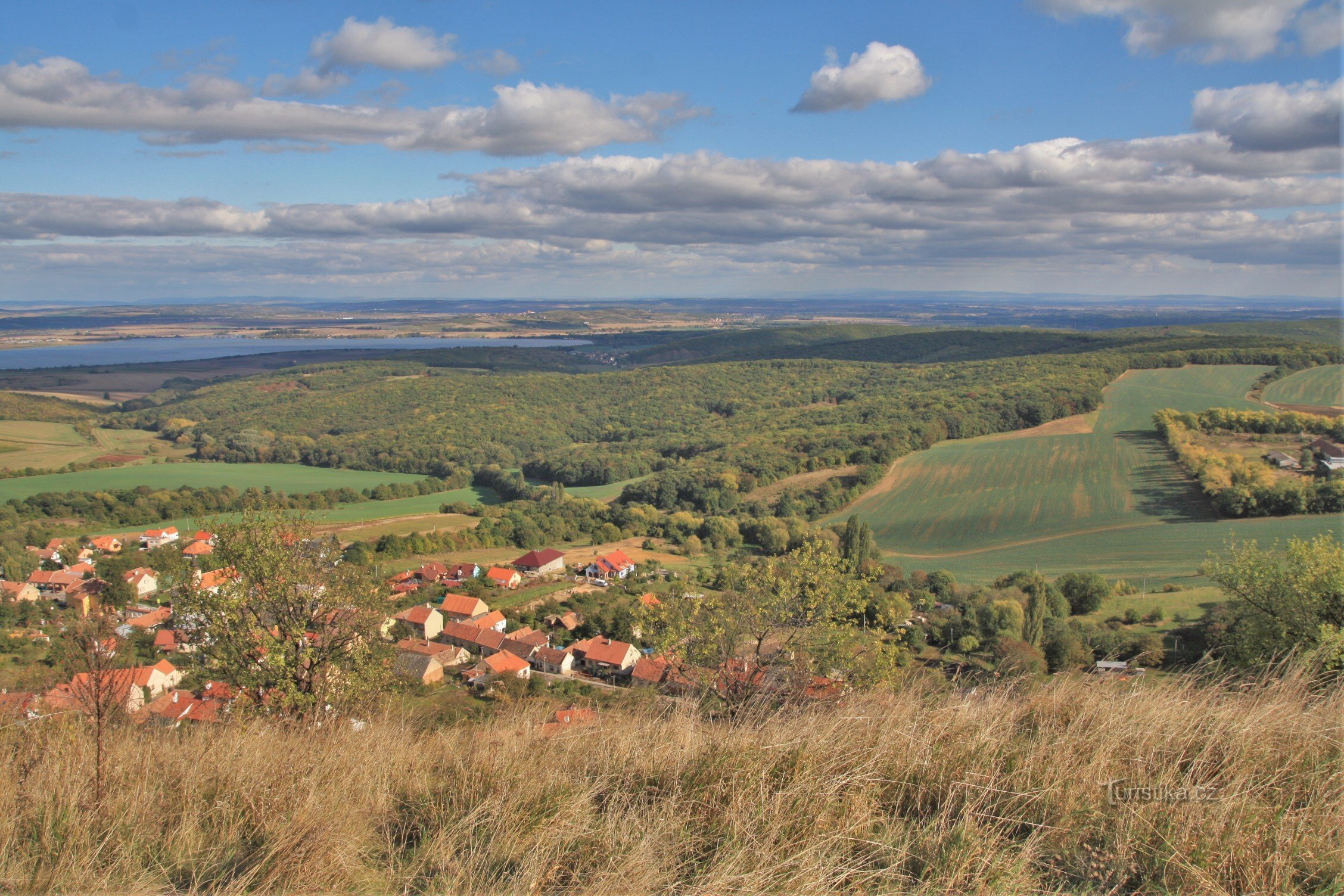 Las Milovický - widok na północną część kompleksu leśnego ze Stolovej Hora