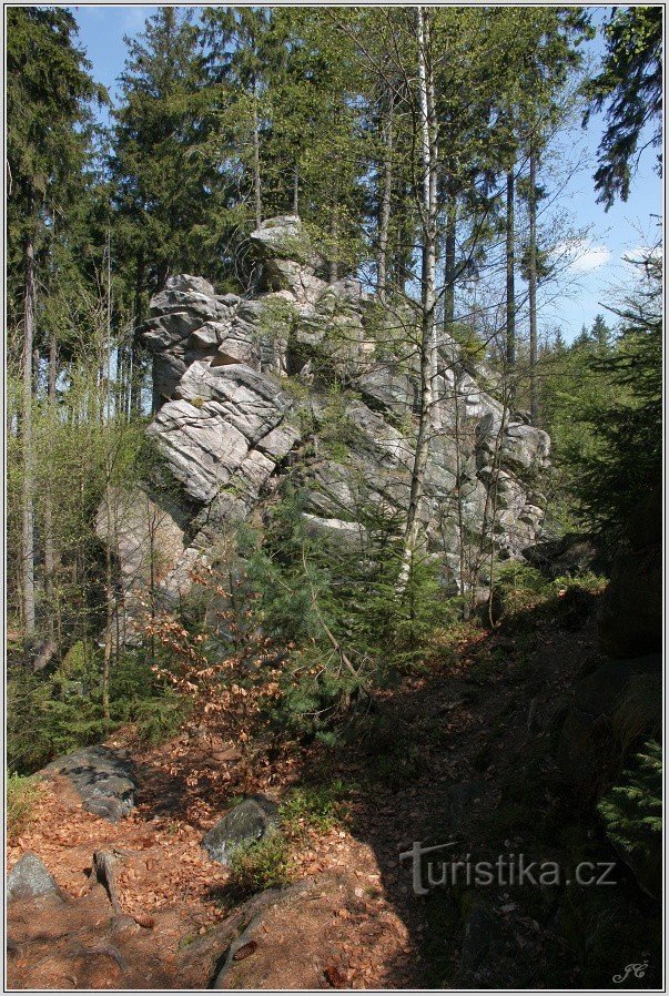 Miloš Medenjak