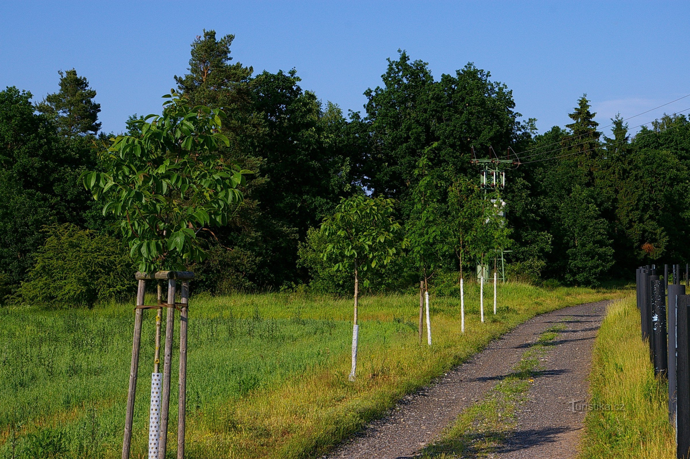 Mimoň – Osečná – Stráž pod Ralskem