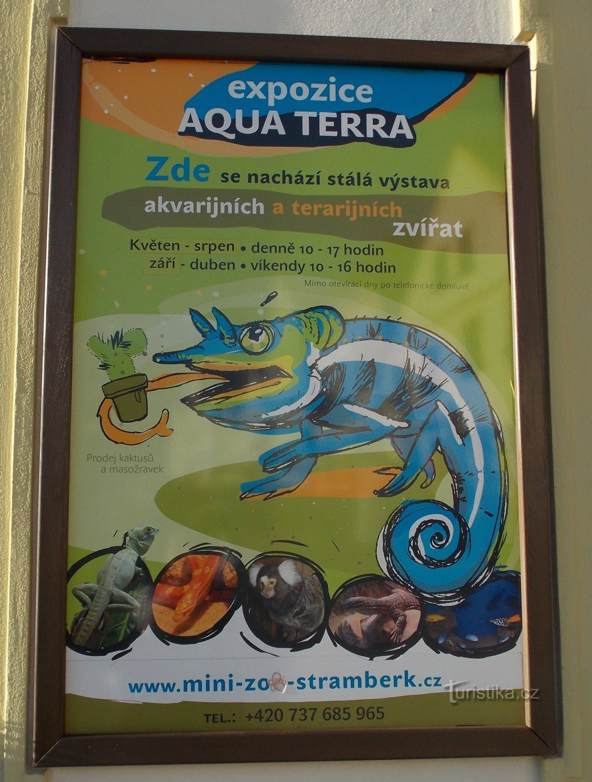 MINI - ZOO Aqua Terra à Stramberk