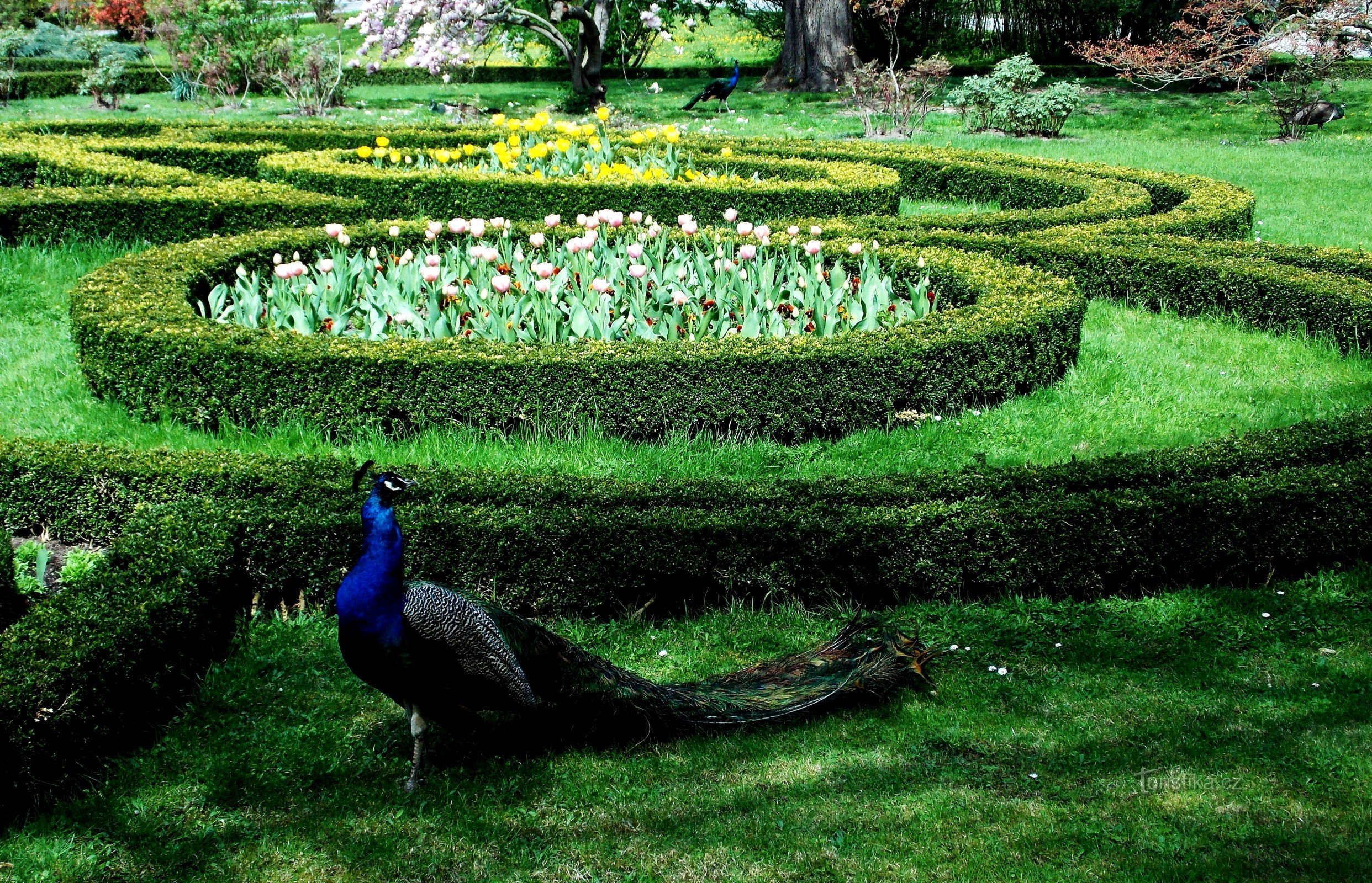 MINI ZOO en el Jardín Podzámecká en Kroměříž